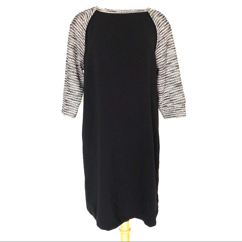 LOFT Color Block Knit Shift Dress